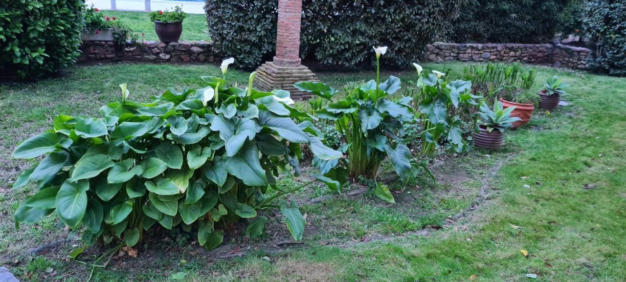 Alqueria Calatrava B&B Burriana Luaran gambar